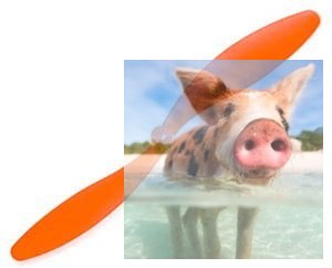 Śmigło 2-łopatowe GWS 6x5