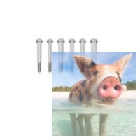 Śruba z łbem okrągłym 2x18 6 szt. - 58055