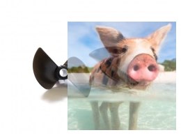 Śruby do łodzi FT010 komplet