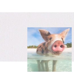 Zawias FLEX mikro 3,5 x 7mm, 6 szt