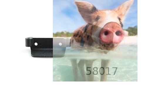 Zderzak przedni / tylny - 58017