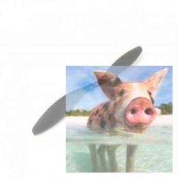 APC 10x4,7 - Slow FLy Pusher