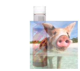 Racing Castor Oil