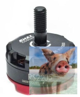 Silnik EMAX RS2205 2600KV RaceSpec CCW