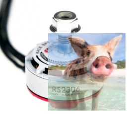 Silnik EMAX RS2306 2400KV RaceSpec White Editon