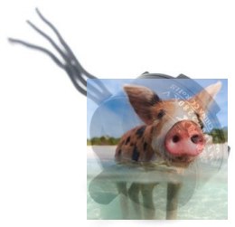 Silnik MT1806 2280KV CCW