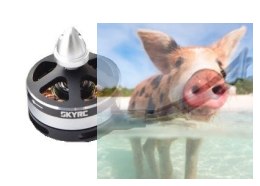Silnik SkyRC X2204 2300KV 1szt.
