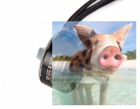 Silnik bezszczotkowy T-MOTOR F60PRO 2350kV