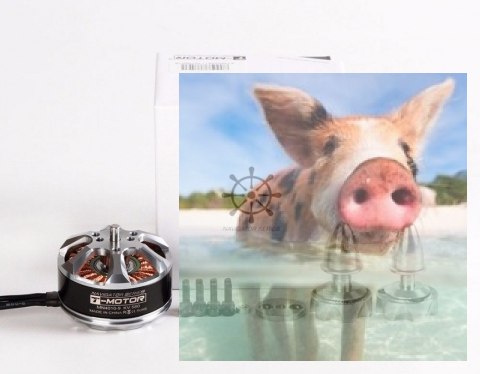 Silnik bezszczotkowy T-MOTOR MN4010 475kV