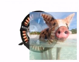 Silnik bezszczotkowy T-MOTOR U15 100kV