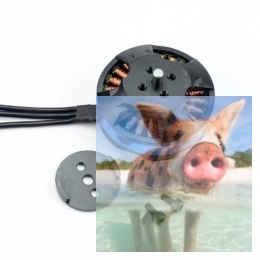 Silnik bezszczotkowy Tarot 4006/620KV - 68P02