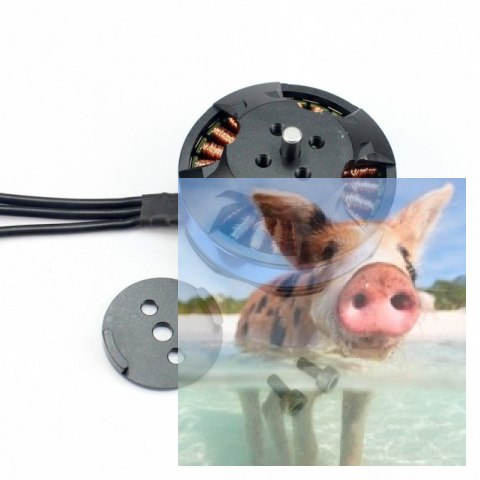 Silnik bezszczotkowy Tarot 4006/620KV - 68P02