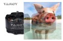 Silnik bezszczotkowy Tarot 4114/320KV Orange TL100B08-02