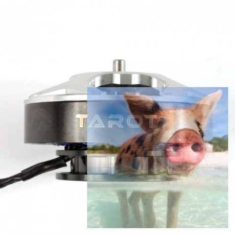 Silnik bezszczotkowy Tarot 5008 340KV 4KG TL96020 Silnik bezszczotkowy Tarot 5008 340KV 4KG TL96020