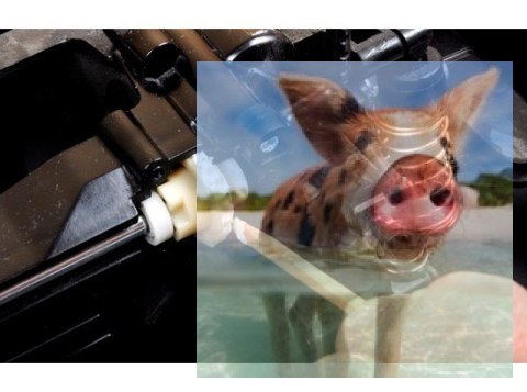 Smar ceramiczny do łożysk i dyferencjałów