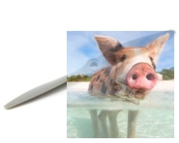 Śmigło APC 6x4 Sport