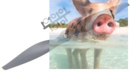 Śmigło APC 8x4.7SF