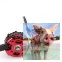 Zestaw 4 silników bezszczotkowych 3-4S EMAX RS2205 2300KV RaceSpec + ESC LIGHTNING 30A