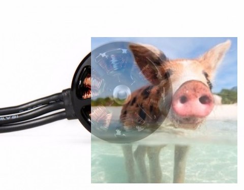 Zestaw dwóch silników bezszczotkowych T-MOTOR F80 2200kV