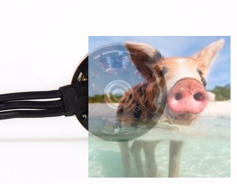 Zestaw dwóch silników bezszczotkowych T-MOTOR F80 2200kV