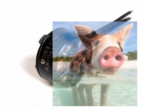 Zestaw dwóch silników bezszczotkowych T-MOTOR F80 2200kV