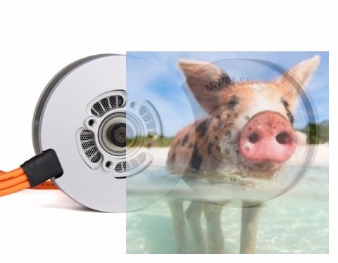 Zestaw dwóch silników bezszczotkowych T-MOTOR MN705-S 260kV