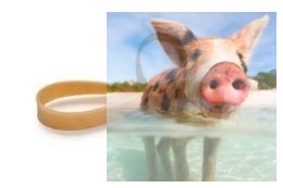 Guma modelarska - pierścień gumowy 240x5x2mm