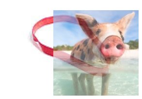 Guma modelarska - pierścień gumowy 45x4mm