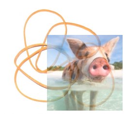 Gumka recepturka - 60mm