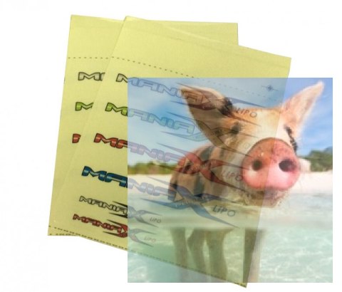 Komplet naklejek ManiaX