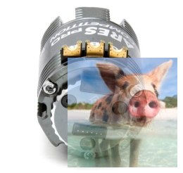 Silnik Bezszczotkowy ARES PRO 21.5T 1760KV 100W 3S 7.2mm SkyRC