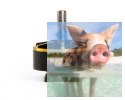 Silnik T-MOTOR Black Bird 2207 2700kV