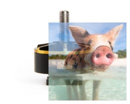 Silnik T-MOTOR Black Bird 2207 2700kV