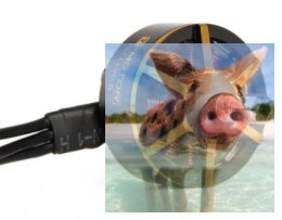 Silnik T-MOTOR Black Bird 2207 2700kV