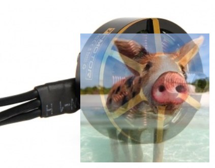 Silnik T-MOTOR Black Bird 2207 2700kV Silnik T-MOTOR Black Bird 2207 2700kV
