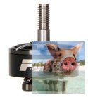 Silnik T-MOTOR F60 PRO III 2500kV