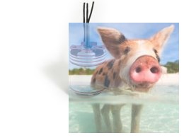 Silnik bezszczotkowy z chłodzeniem wodnym ADS-300XL 2434 3000KV 400W