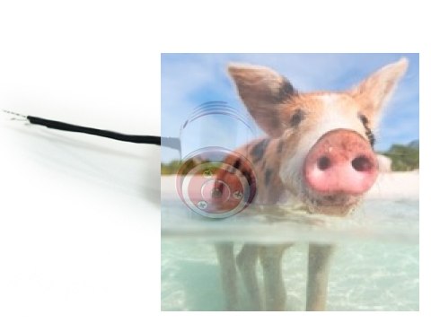 Silnik bezszczotkowy z chłodzeniem wodnym ADS-300XL 2434 3000KV 400W