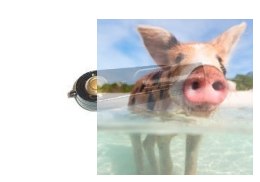 Snap kulowy M2.5 - 5szt.