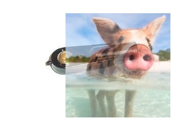 Snap kulowy M2.5 - 5szt.