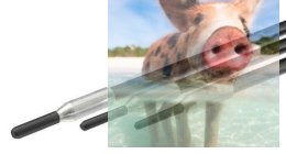 Snap metalowy - regulacja na rurkę Fi3/Gwint M2 (2szt.)