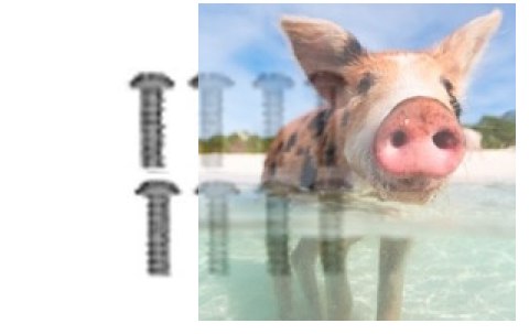 Śruba z łbem okrągłym M2x4 - 68038