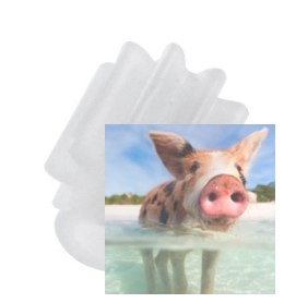 Zębatka atakująca silnika do X23 X23W