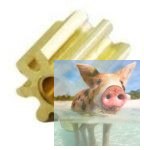 Zębatka mosiężna 11T 0.5M H10, otwór 3.0mm