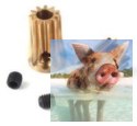 Zębatka mosiężna 12T 0.4M H5, otwór 2.3mm
