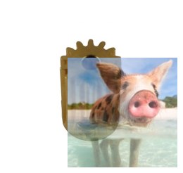 Zębatka mosiężna 14T 0.5M H12, otwór 2.3mm