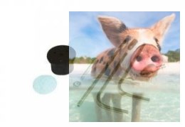 Zestaw elementów do zbiornika paliwa do benzyny