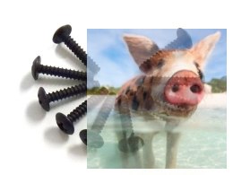 3*15 Śruby samogwintujące 10 szt. - 02181