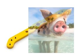 Aluminiowy orczyk do serwomechanizmu Hitec dwuramienny (110mm)