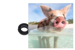 Klamra łącząca - S111G-05B